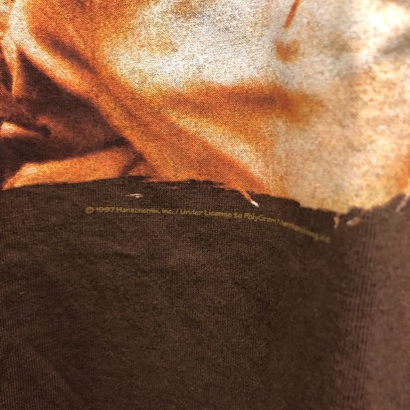 1997 Hansons Middle of Nowhere Concert T-shirt - Picture 7 of 7